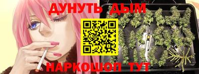 винт Гай