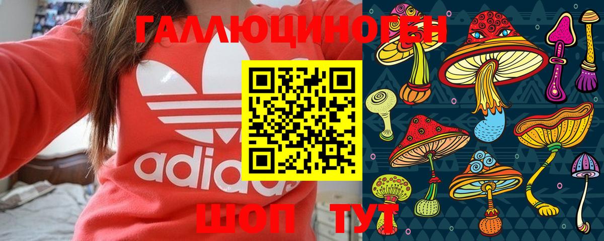 Псилоцибиновые грибы GOLDEN TEACHER  Вход с VPN  Миллерово 