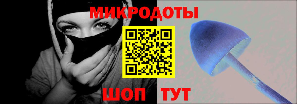 Псилоцибиновые грибы Psilocybine cubensis Миллерово